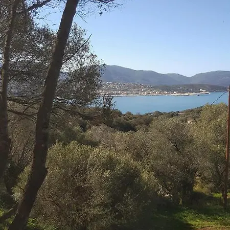 A Tribbia