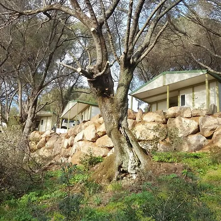A Tribbia Chalé Olmeto (Corsica)