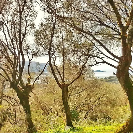 A Tribbia Chalé Olmeto (Corsica)