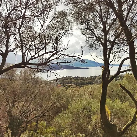 A Tribbia Chalé Olmeto (Corsica)