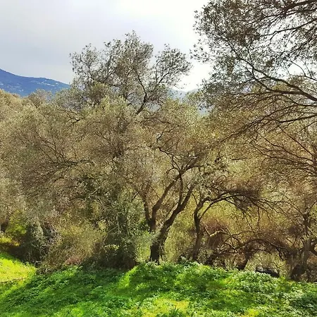 Chalé A Tribbia