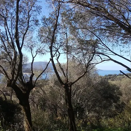 A Tribbia Chalé Olmeto (Corsica)